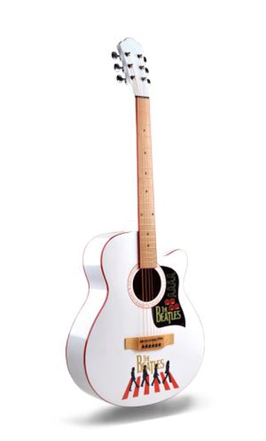 Studentská akustická kytara